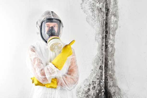 Mold Remediation for Vacation Homes in Clear Lake Shores, TX