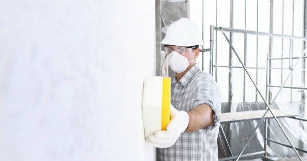 Why You Should Choose Our Mold Remediation Services in Clear Lake Shores, TX