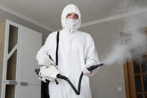 Best Black Mold Removal  in Clear Lake Shores, TX