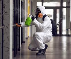 Best Asbestos and Lead Testing During Mold Inspection  in Clear Lake Shores, TX